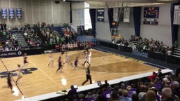 Roseau girls basketball highlights Albany High School
