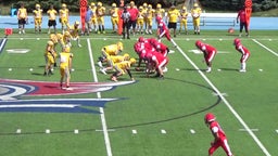 Michael Scruggs's highlights St. Francis de Sales High School