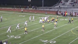 Alex Pickett's highlights Andrean High School