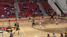 Taylor County girls basketball highlights Hart County