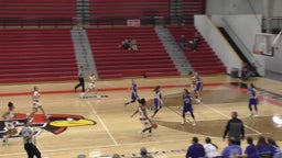 Taylor County girls basketball highlights Clinton County