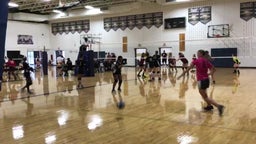 Ypsilanti volleyball highlights Anderson High School
