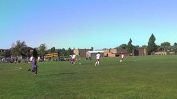 Albion soccer highlights Medina High School
