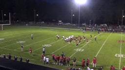 Dansville football highlights Wellsville