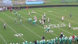 E.A. Laney football highlights vs. Greenville Rose