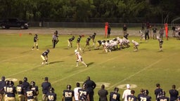 Nick Licata's highlights Palm Harbor University