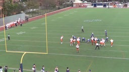 Brooklyn Tech football highlights vs. Sheepshead Bay