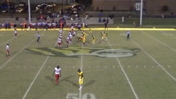 Talandus Boyd's highlights Halls High School