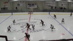 Forest Lake ice hockey highlights Anoka High School