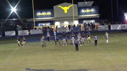 Jakharyn Parks's highlights Hamshire-Fannett High School