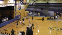 Terry girls basketball highlights Greenville High School