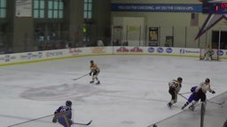 Dakota Falk's highlights Upper Arlington High School