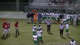 Terrell County football highlights Seminole County High School