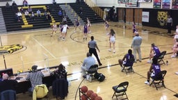 St. Francis DeSales girls basketball highlights Upper Arlington High School