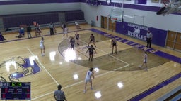 St. Francis DeSales girls basketball highlights Whitehall-Yearling High School