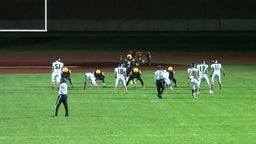 Lincoln-Way West football highlights vs. Thornwood High
