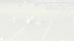 Concord-Carlisle football highlights vs. Newton South High