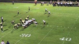 Bryant football highlights Davidson High School