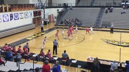 Danville girls basketball highlights Plainfield High