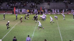 Palo Alto football highlights vs. Wilcox