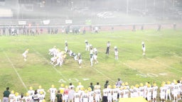 Saadite Green jr's highlights Edison High School