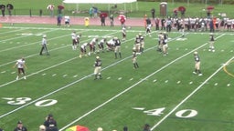 Walsh Jesuit football highlights vs. Canisius High School