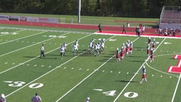 Laurel football highlights Freedom Area High School (WPIAL)