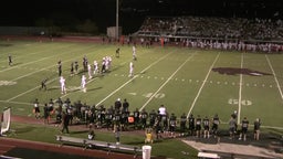 James Borak's highlights Desert Mountain Longsnapper