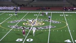 Saint Francis lacrosse highlights vs. Menlo-Atherton High