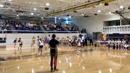 Linden volleyball highlights Birch Run High School