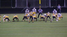 Dylan Johnson's highlights Metea Valley High School