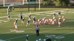 Whiting football highlights Wheeler