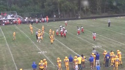 Imlay City football highlights Vassar High School