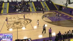 Tekamah-Herman girls basketball highlights Logan View High School