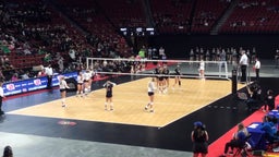 Norris volleyball highlights Skutt Catholic
