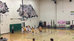 Iredell girls basketball highlights Blum High School