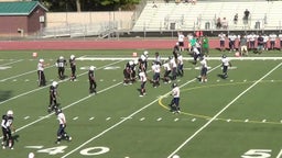 Sheldon football highlights vs. Rosemont High School