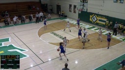 Martin Luther girls basketball highlights Catholic Central High School