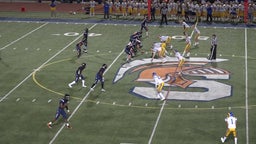 West Springfield football highlights Robinson High School