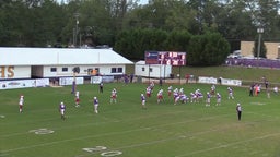 Dale County football highlights Ariton High School