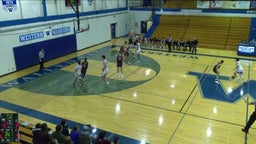 Walled Lake Western basketball highlights Okemos High School