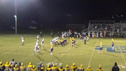 Amerous White's highlights District