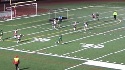 Wilson field hockey highlights Emmaus High School