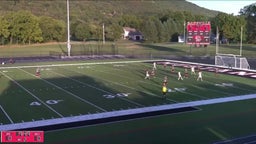 Dansville soccer highlights Wayland-Cohocton High School
