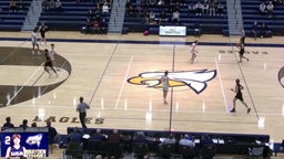 Zeeland West basketball highlights Hudsonville High School