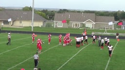 Cedar Catholic football highlights vs. Homer High School