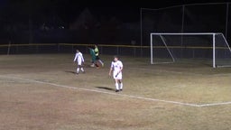Harrison Walther's highlights Pine Forest