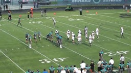 Palmetto Ridge football highlights vs. Gulf Coast High