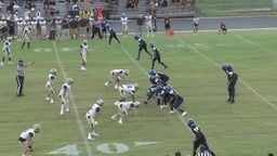 Ben Hestorff's highlights armwood hawks