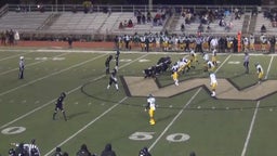 Cameron Sneed's highlights Memphis Central